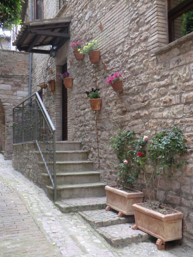 La Corta Di Spello Camere מראה חיצוני תמונה