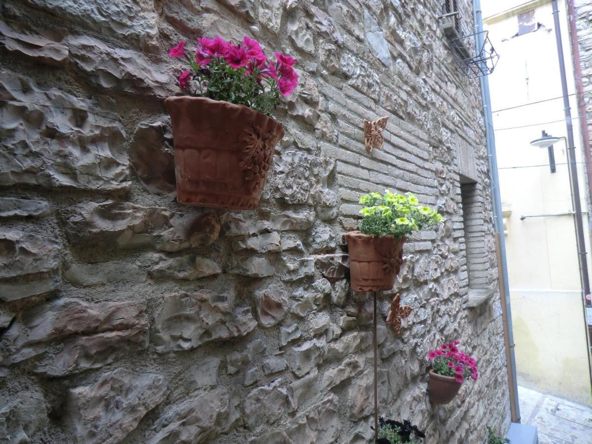 La Corta Di Spello Camere מראה חיצוני תמונה
