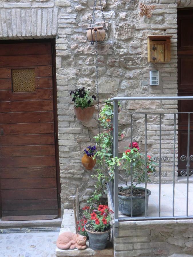 La Corta Di Spello Camere מראה חיצוני תמונה