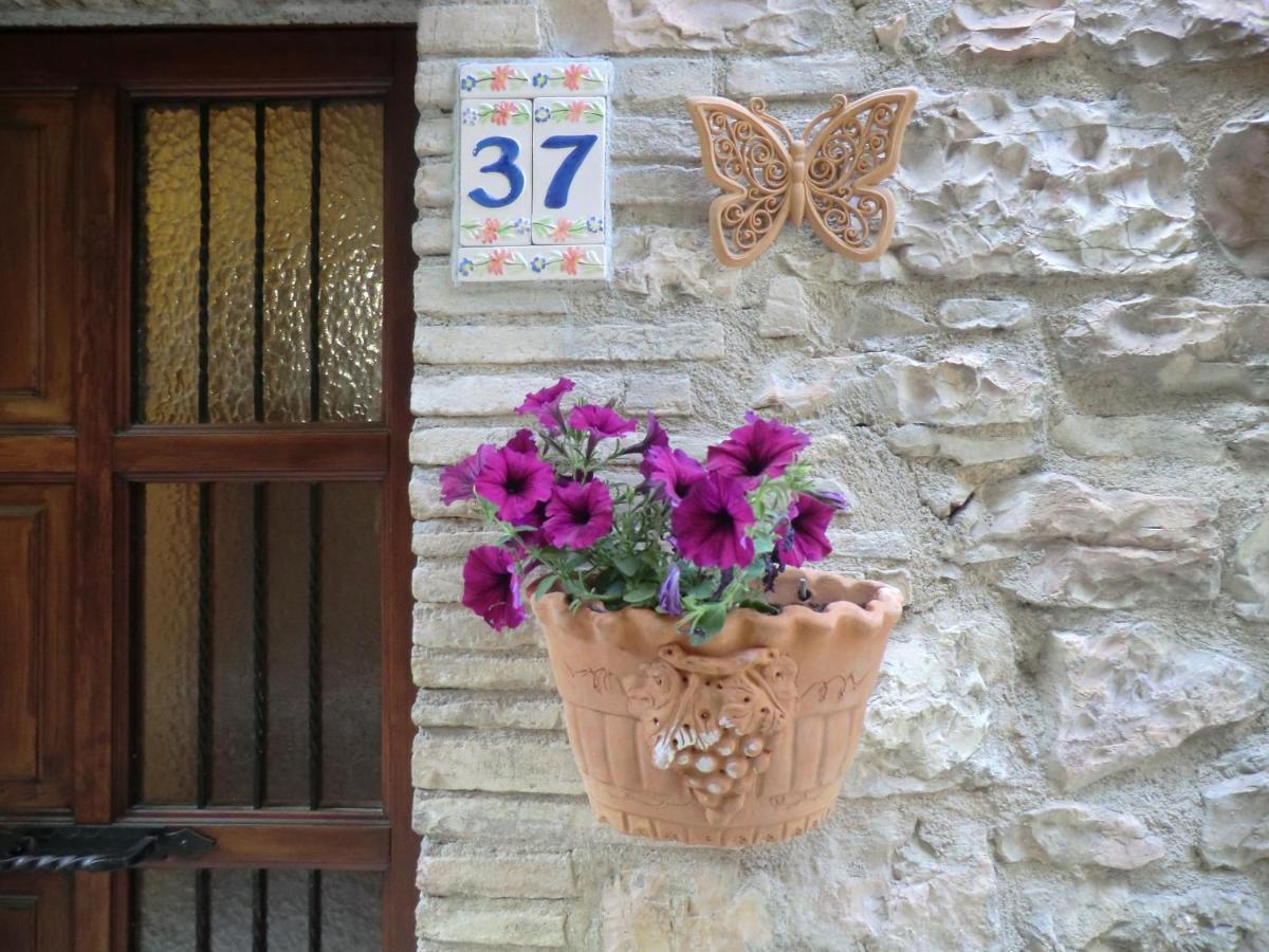 La Corta Di Spello Camere מראה חיצוני תמונה