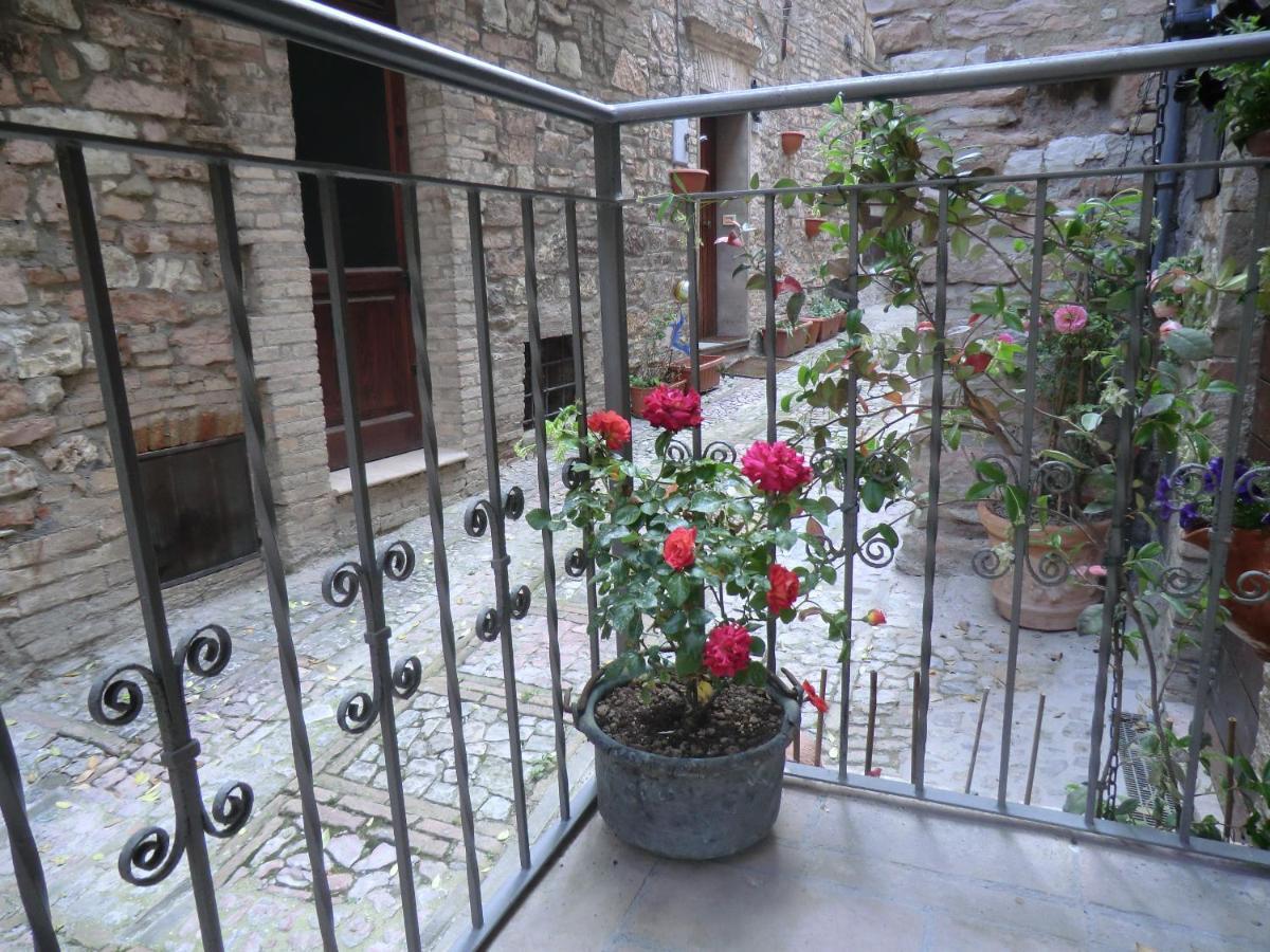 La Corta Di Spello Camere מראה חיצוני תמונה